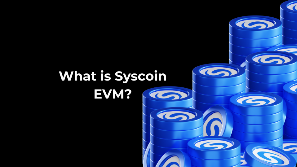 What Is Syscoin Evm